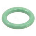 Four Seasons O-RING-GREEN 10 PACK 24606